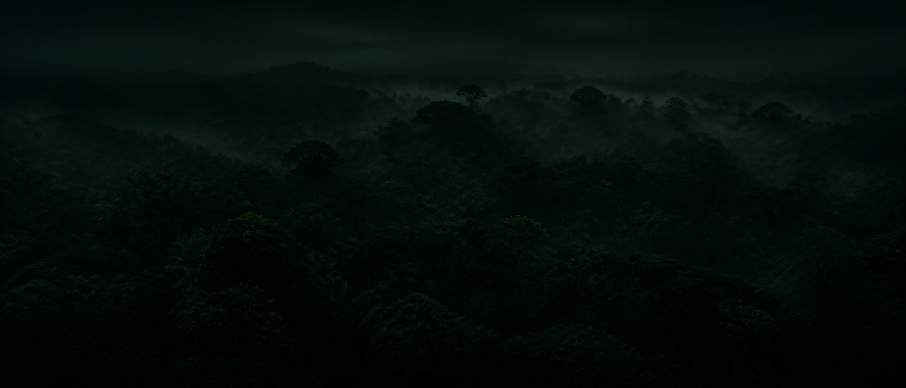 Wild Ape #3258 Footer Background